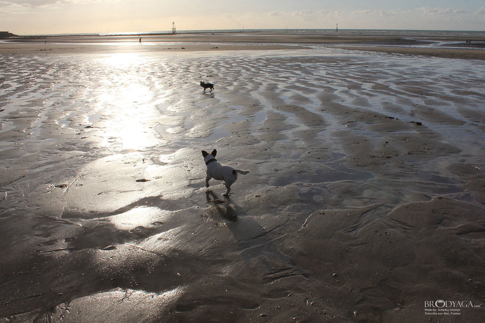 Trouville